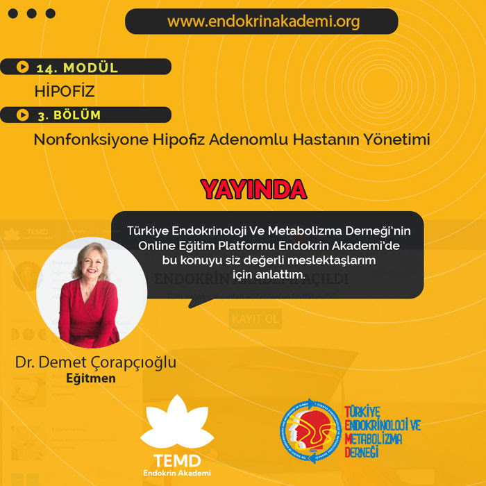 Endokrin Akademi Eğitimi